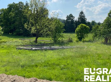 Prodej pozemku pro bydlení, 15 799 m²