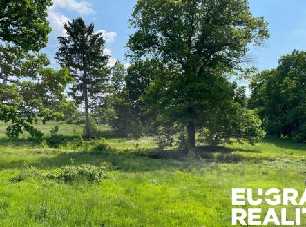 Prodej pozemku pro bydlení, 15 799 m²