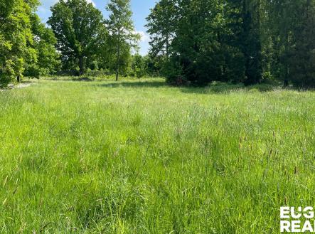 Prodej pozemku pro bydlení, 15 799 m²
