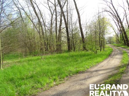 Prodej pozemku, ostatní, 711 m²