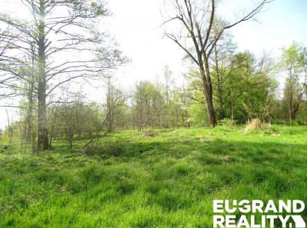 Prodej pozemku, ostatní, 711 m²