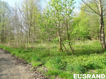 Prodej pozemku, ostatní, 800 m²