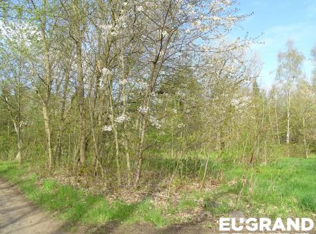 Prodej pozemku, ostatní, 740 m²