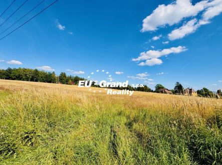 Prodej pozemku pro bydlení, 1 291 m² obrázek