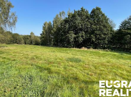 Prodej pozemku, trvalý travní porost, 14 798 m²