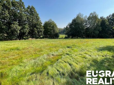 Prodej pozemku, trvalý travní porost, 14 798 m²