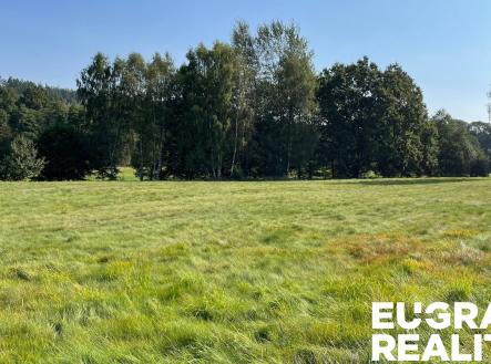 Prodej pozemku, trvalý travní porost, 14 798 m²