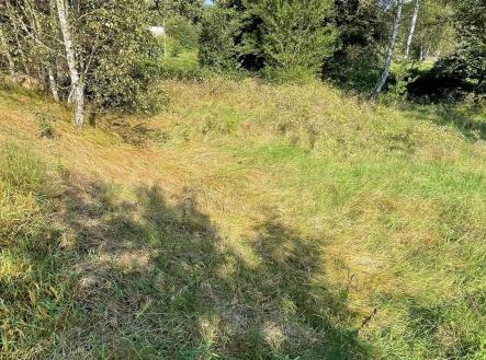 Prodej pozemku, trvalý travní porost, 14 798 m²