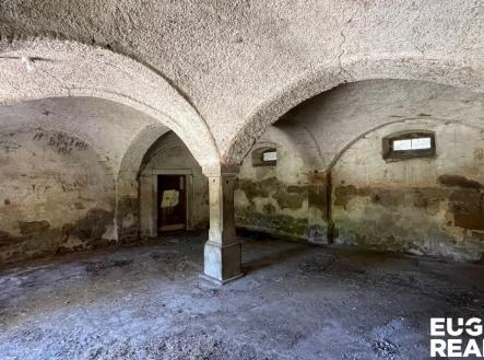 IMG_7810