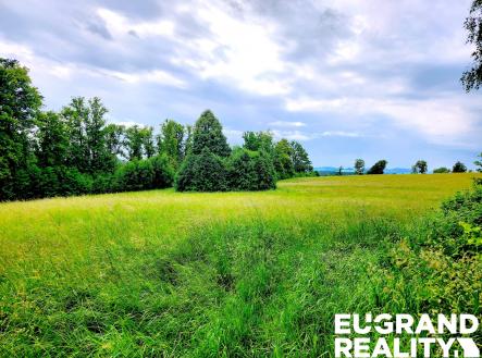 Prodej pozemku, trvalý travní porost, 7 471 m²