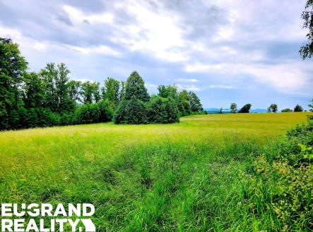 Prodej pozemku, trvalý travní porost, 7 471 m²