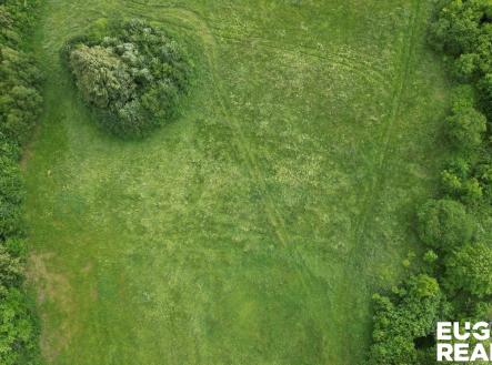 Prodej pozemku, trvalý travní porost, 7 471 m²