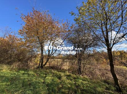 Prodej pozemku pro bydlení, 20 638 m²