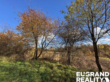 Prodej pozemku pro bydlení, 20 638 m²
