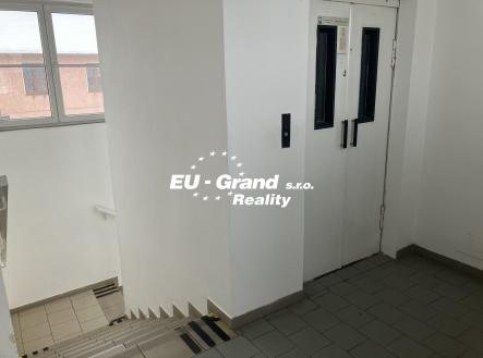 Pronájem obchodní prostor, 450 m²