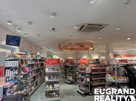 Pronájem obchodní prostor, 450 m²