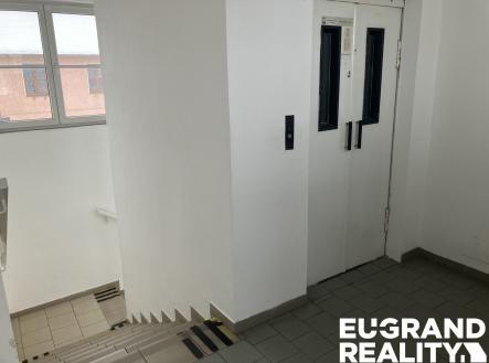 Pronájem obchodní prostor, 450 m²