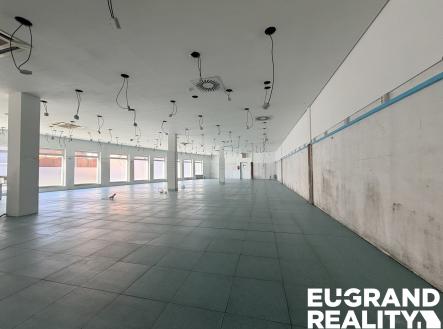 Pronájem obchodní prostor, 450 m²