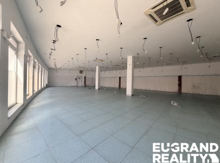 Pronájem obchodní prostor, 450 m²