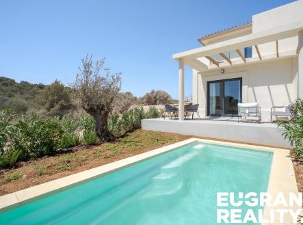 Orchid Casel de Paradise.