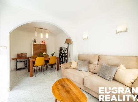 Orchid Casel de Paradise.