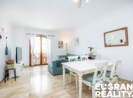 Orchid Casel de Paradise.