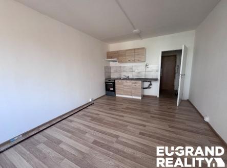 Pronájem bytu, 1+kk, 27 m²