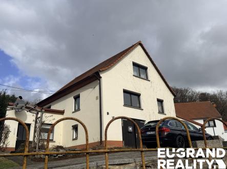 Orchid Casel de Paradise.