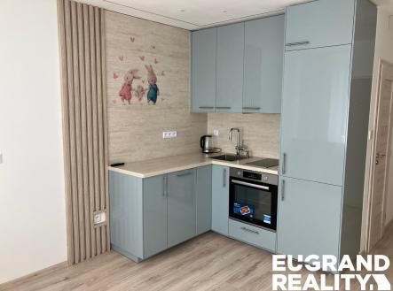 Pronájem bytu, 1+1, 35 m²