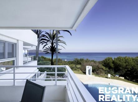 Orchid Casel de Paradise.