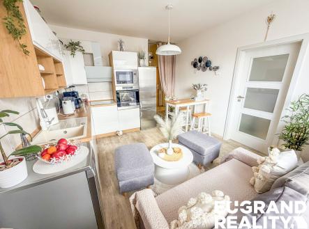 Prodej bytu, 1+1, 45 m²