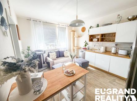 Pronájem bytu, 1+1, 45 m²