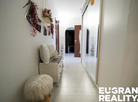26-DSC02784