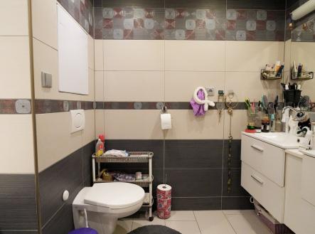 11-DSC02747