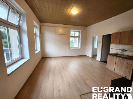 Pronájem bytu, 4+kk, 100 m²