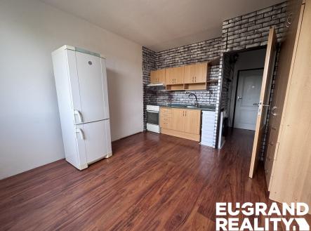 Pronájem bytu, 1+1, 37 m²