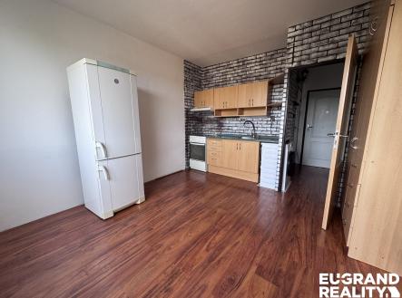 Pronájem bytu, 1+1, 37 m²