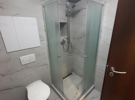 Pronájem bytu, 1+kk, 25 m²