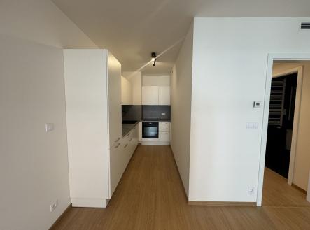 Pronájem bytu 2+kk, 57m2, lodžie 10m2,sklep 6m2 - Domalípova