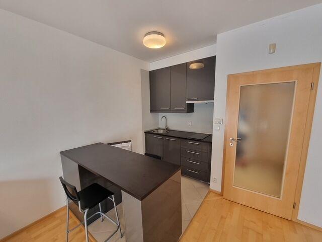 Pronájem 1+kk (33,5m2) s terasou 19m2 a sklepem, Bělohorská, Praha 6