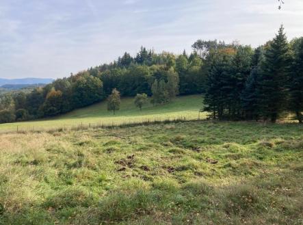 Prodej pozemku pro bydlení, 1 390 m²