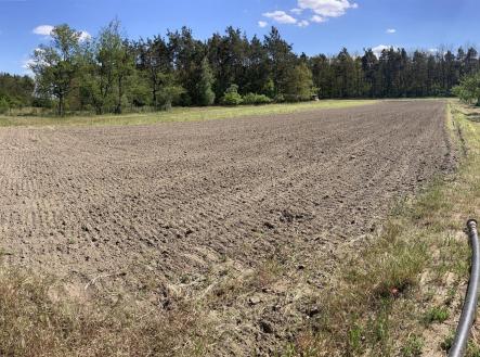 Prodej pozemku pro bydlení, 2 600 m²