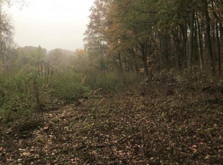 Prodej pozemku, ostatní, 5 142 m²