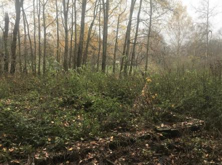 Prodej pozemku, ostatní, 5 142 m²