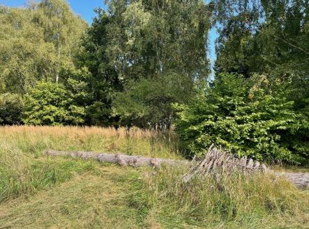 Prodej pozemku pro bydlení, 1 000 m²