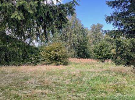 Prodej pozemku pro bydlení, 1 000 m²