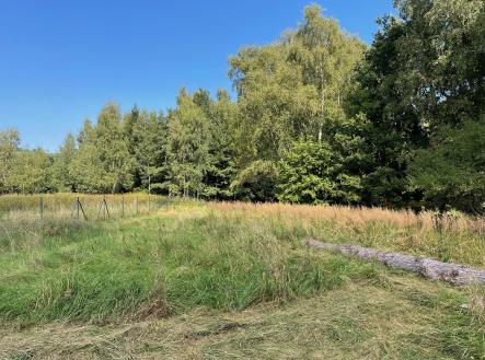 Prodej pozemku pro bydlení, 1 000 m²