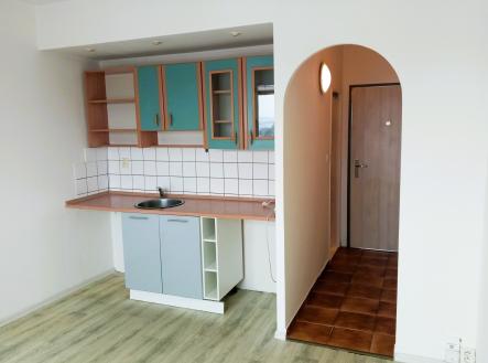 Pronájem bytu, 1+kk, 20 m² obrázek