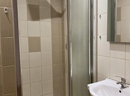 Pronájem bytu, 2+1, 56 m²