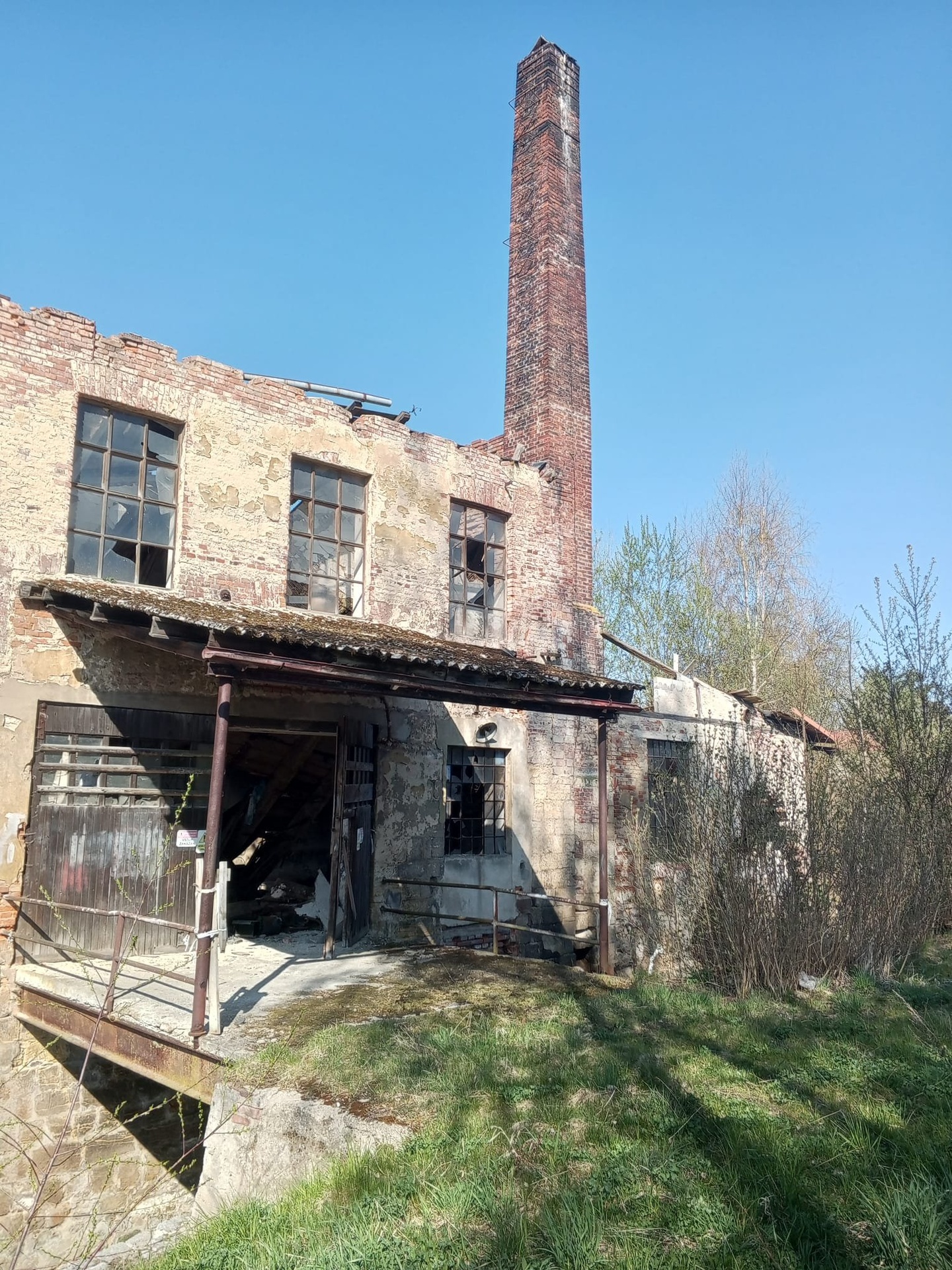 WhatsApp Image 2026-04-17 at 13.04.16 (3)